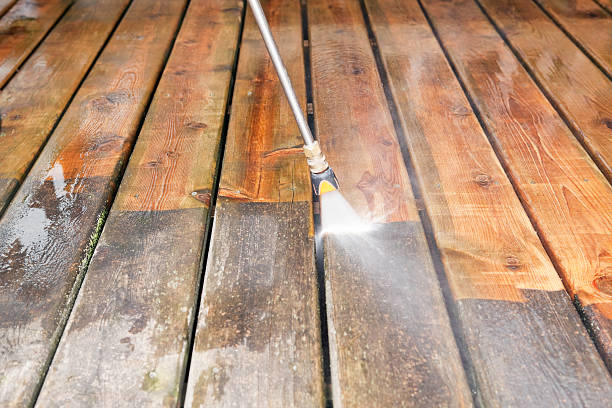 Best Solar Panel Cleaning  in Ladera Heights, CA